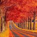 Vicky Ali - Facebook