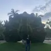 Vicky Almanza - @vicky.almanza2 - TikTok