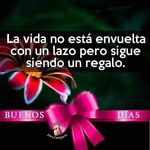 Vicky Almendarez - @vicky.almendarez.98 - Instagram