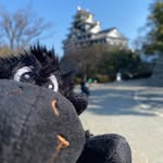 travelling_with_angus - @vickyjoshangus_travels - Instagram
