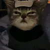 vickyarellano29 - @vickyarellano29 - TikTok