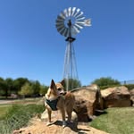 Vicki Arnett - @viki05 - Instagram