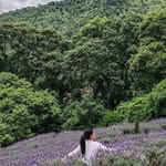 Vicky Arredondo - @virginia_arredondo - Instagram