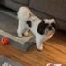 Vicki Ashley - Facebook