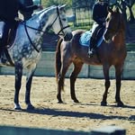 Vicky Ashton - @hello_ponysa - Instagram