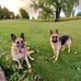 Vicky Atkinson - Facebook