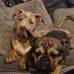 Vikki Atkinson - Facebook