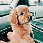 Hi - @vicky.baldwin.9 - Instagram