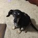 Vicki Baldwin - Facebook