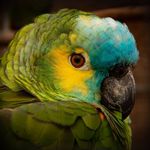 Vicki Baldwin - @shes.gunna.snap - Instagram