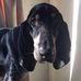 Vicki Baldwin - Facebook