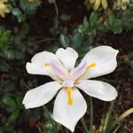 Vicki Pratt Barkley - @vbarkley021 - Instagram