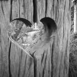 Vicky Barkley - @vicky_barkley_photograhpy - Instagram