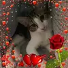 vickybarnard72 - @vickybarnard72 - TikTok