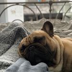 Vicky Barnes - @vicky.barnes.7161 - Instagram