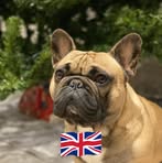 Vicky Barnes - Facebook