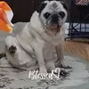 vickybarnett615 - @vickybarnett615 - TikTok