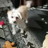 barney i !Vicky Heidtich - @barney.i.vicky.he - TikTok