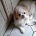 Vicki Bartholomew - Facebook