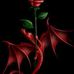 Vicki Bartholomew - Facebook