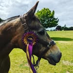 Vicky barton - @vickybarton884 - Instagram