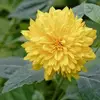 Vicky Bates - @vicky.bates1 - TikTok