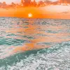 •🦀🐬• Vicky • 🍹🏝• - @beachyvickyy - TikTok