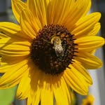 Vicky Beard - @vicky.beard1 - Instagram