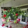 vickybeard4 - @vicky.beard5 - TikTok