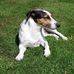 Vicky Beasley - Facebook