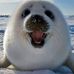Vicky Beasley - Facebook