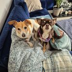 Vickie Beaver - @indyvic66 - Instagram