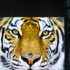 vicky_becke - @vicky_becke - TikTok