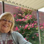 Vicki Beckett Whitwell - @whitv23 - Instagram