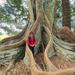 Vicky Vicente-Beckett - @vickyvicentebeckett - Instagram