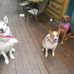 Vicky Behrendt - Facebook