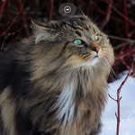 Vicky Belyeu - @vbsmilin - Instagram