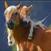 Vicky Bennett - Facebook