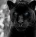 Vicky Bennett - Facebook