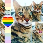Vicky Berger - @ducatistamonster - Instagram