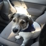 Vicki Bergman - @vicki.bergman.04 - Instagram
