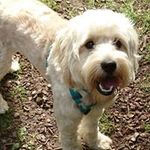 Vicky Betts - @vicky.betts.7 - Instagram