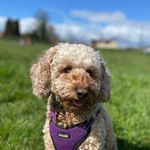 Vicky Billings - @vicky.billings - Instagram