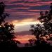 Vicky Billings - Facebook