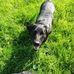 Vicky Bishop - Facebook