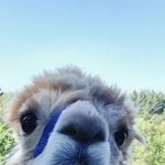 Vicky Blackburn - @f1shc4k3 - Instagram