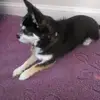 vickyblackburn - @vimtoo8 - TikTok