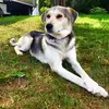 vicky.blackburn - @vicky.b1107 - TikTok