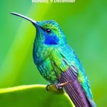 vicky block - @topfollow224466 - Instagram