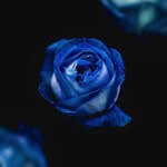 Vicky block lover - @lovervickyblock - Instagram